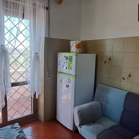 The Rainbow House